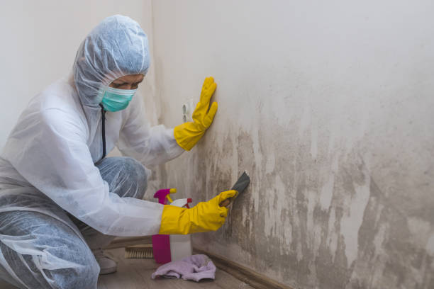 Best Crawl Space Mold Remediation in Weleetka, OK