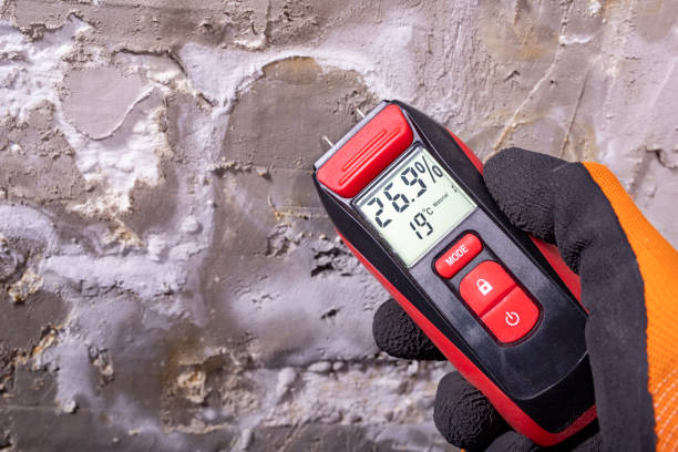 Best Mold Testing and Inspection Services in Weleetka, OK