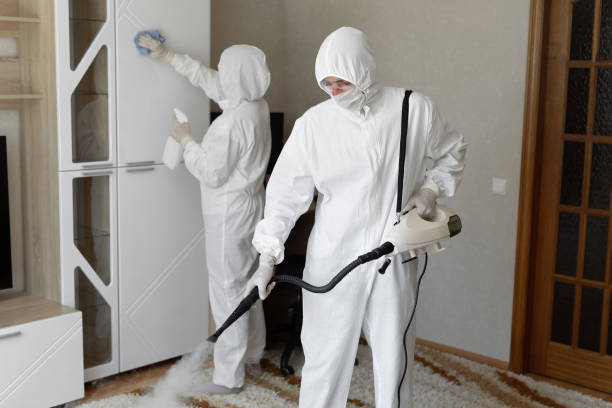 Best DIY Mold Remediation Support Services in Weleetka, OK