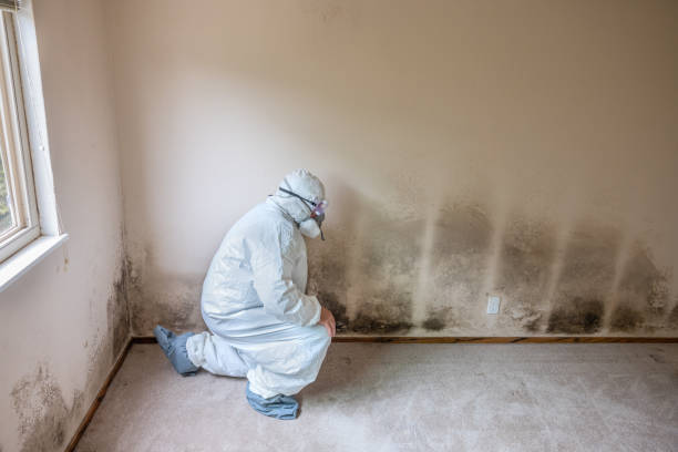 Best HVAC Mold Remediation in Weleetka, OK