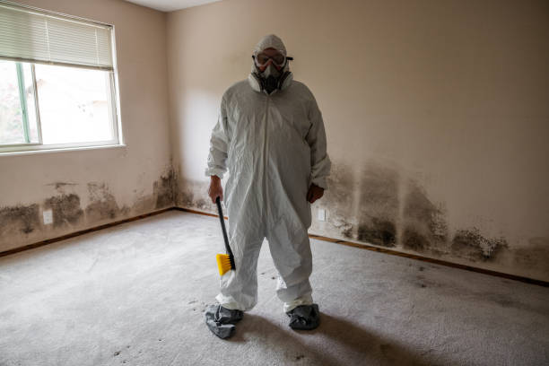 Best Industrial Mold Remediation in Weleetka, OK